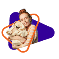 Petcamp gato cachorro petcamp pet camp Sticker