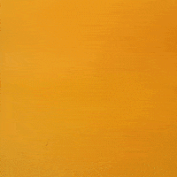 High Life Summer GIF by j.a.c.k.i.e.l.a.n.d