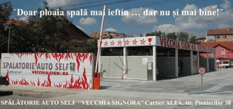 greclucian giphygifmaker GIF