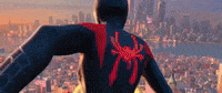 Spider-Man GIF by Spider-Man: Into The Spider-Verse