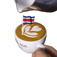 Costa Rica Barista GIF by Dritan Alsela Coffee