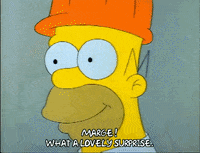 Season 1 GIF by The Simpsons