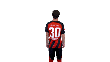 Turn Sge Sticker by Eintracht Frankfurt