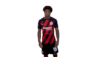 Swipe Up Sticker by Eintracht Frankfurt