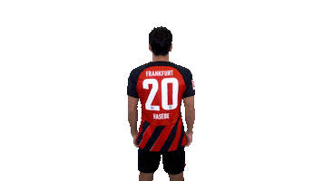 Turn Sge Sticker by Eintracht Frankfurt