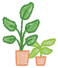 Plants Grow Sticker