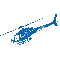 Top Ski Sticker by Elikosvalgardena