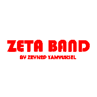 Zeta Sticker by zeynep