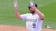 Major League Baseball Sport GIF by MLB