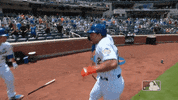 celebrate ny mets GIF by New York Mets