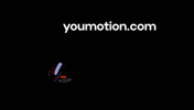 Animation Motion GIF by youmotion.com