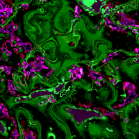 animation love GIF by POST-WEB