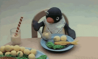 penguin eat GIF