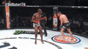 GIF by Bellator