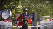 FEI_Global sport up usa horse GIF