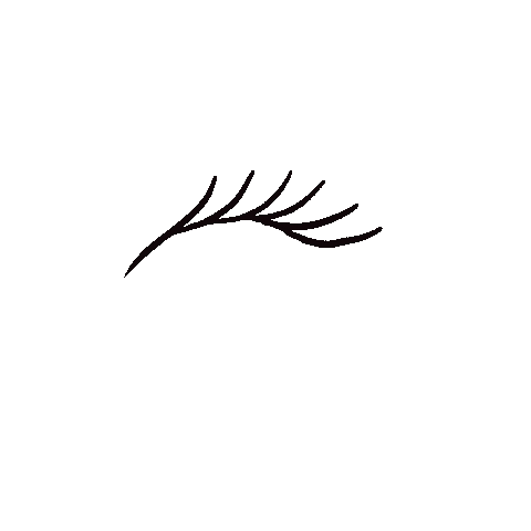 Lash Make Up Sticker by HAMTARINA