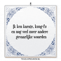 Humor Karate GIF by Tegelspreuken.nl
