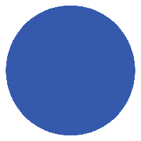 Pop Star Flower Sticker by Benary