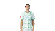 Goal Var Sticker by SpVgg Greuther Fürth