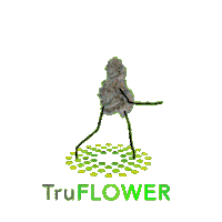 truflower dancing weed Sticker by Trulieve