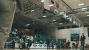 College Sports Sport GIF by FAU Athletics