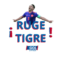 world cup love Sticker by Caracol Television