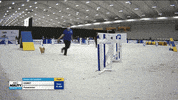 Espn Dogs GIF by American Kennel Club