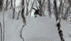GIF by Red Bull