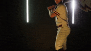 Baseball Juco GIF by Pearl River Athletics