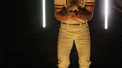 Baseball Juco GIF by Pearl River Athletics
