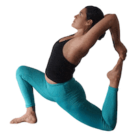 Eka Pada Rajakapotasana Yoga Pose Sticker by Nasce Yoga
