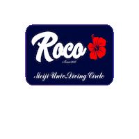 Scubadiving Sticker by SNSI Japan