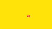 Feuerundflamme GIF by FDP
