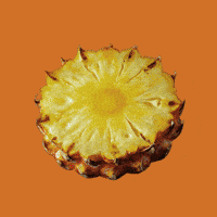 Summer Comida GIF