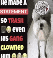 Dog Trash GIF