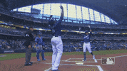 mlb regular season celebration GIF by MLB