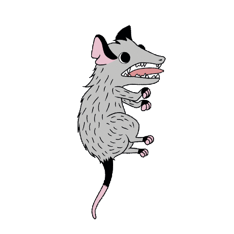 LaGerardo naturaleza opossum fauna marsupial Sticker