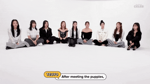 Puppy Interview GIF by BuzzFeed