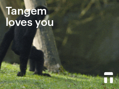 tangem_ giphyupload crypto cold wallet coldwallet GIF