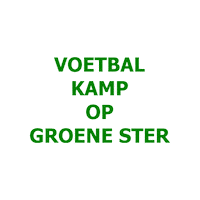 Sport Heerlen Sticker by Groene ster