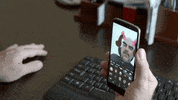 Pecanha GIF by Porta Dos Fundos