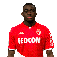 Ligue 1 Football Sticker by AS Monaco
