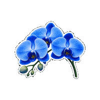Beauty Flower Sticker by Fresa Creativa