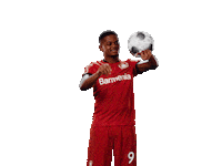 Bayer 04 Ball Sticker by Bayer 04 Leverkusen