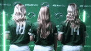 Softball GIF by RiverHawk Sports
