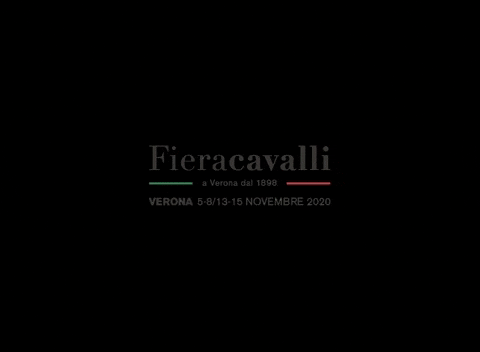 Fieracavalli Horsefriendly GIF by veronafiere