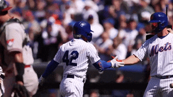 Celebrate Major League Baseball GIF by MLB