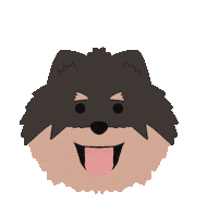 Package Pomeranian Sticker