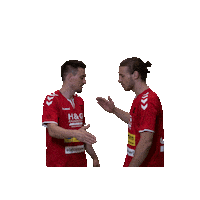 tusharenhandballer friends handball check deal Sticker