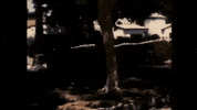 Happy Youtube GIF